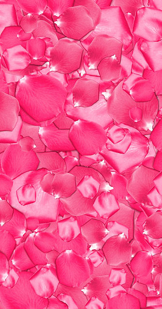 壁紙 花 ピンクの画像1214点 完全無料画像検索のプリ画像 Bygmo