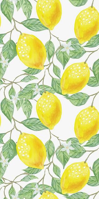檸檬 レモン フルーツ 果物 完全無料画像検索のプリ画像 Bygmo
