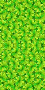 新緑  初夏  緑  グリーン  自然の画像(パターンに関連した画像)