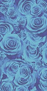 薔薇 バラ ローズ 花柄 花模様 ブルーの画像(花柄に関連した画像)