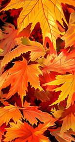 秋 暖色系 総柄 パターン 紅葉 落ち葉の画像(柄に関連した画像)