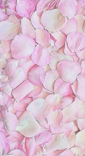パステル ピンク 花 パターン 背景 ゆめかわの画像 プリ画像
