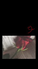 薔薇 おしゃれの画像1597点 完全無料画像検索のプリ画像 Bygmo