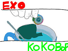 EXOの画像(ラインペア画に関連した画像)