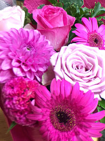 ピンクのお花の画像11点 完全無料画像検索のプリ画像 Bygmo