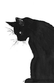 「黒猫」の画像(黒猫に関連した画像)
