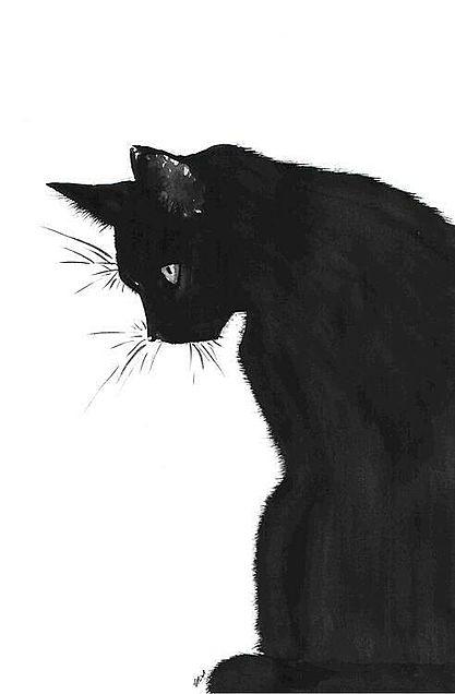 「黒猫」の画像 プリ画像