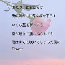 セブチ Flower 歌詞 プリ画像
