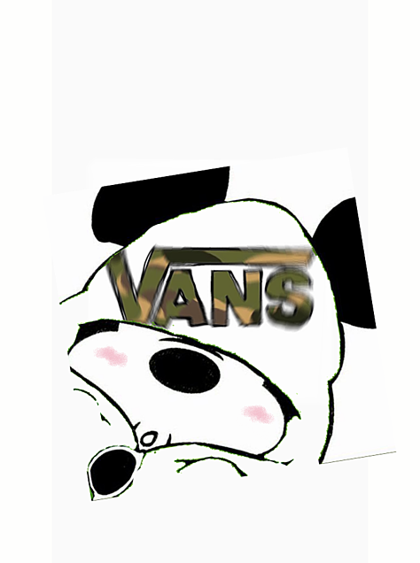 VANSの画像(プリ画像)