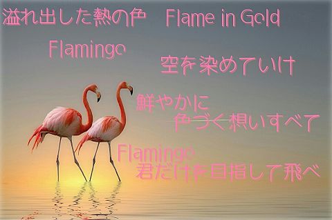 Flamingoの画像 プリ画像