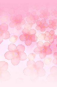 桜の画像(桜 花びらに関連した画像)