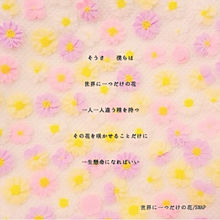 世界に一つだけの花の画像(TOKIO/タッキー＆翼に関連した画像)