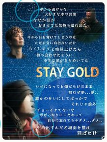 stay goldの画像(湘南乃風 shock eyeに関連した画像)