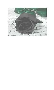 かわいい 黒薔薇の画像1点 完全無料画像検索のプリ画像 Bygmo