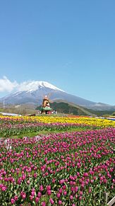 富士山(壁紙)の画像(富士山に関連した画像)