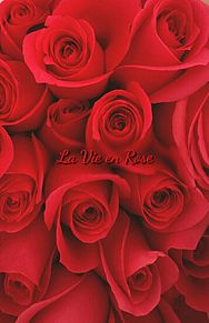 La Vie en Rose　　歌詞画 プリ画像
