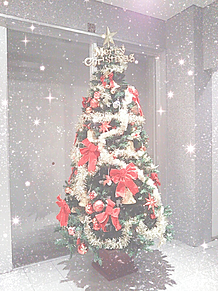クリスマスツリーの画像(イルミに関連した画像)