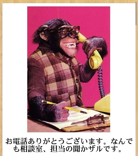 おもしろ チンパンジーの画像3点 完全無料画像検索のプリ画像 Bygmo