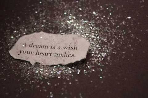 Dream is a wish ...の画像(プリ画像)