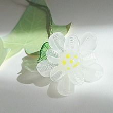 ガラスの白い花の画像(ガラスに関連した画像)