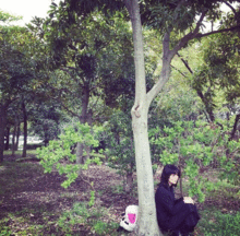 大島優子 ヤメゴク Instagramの画像(やメーたんに関連した画像)