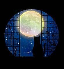 猫と月の画像(プリ画像)