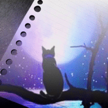 最高のイラスト画像 心に強く訴える綺麗 猫 と 月 イラスト