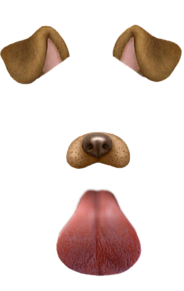 犬 背景透過 Snapchatの画像12点 完全無料画像検索のプリ画像 Bygmo
