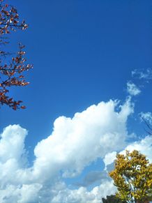 ☁ sky　雲　空　の画像(秋晴れ空に関連した画像)