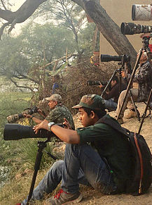 インドのバラトプルへ野鳥に会いにの画像(インドに関連した画像)