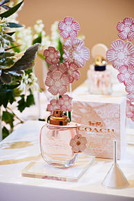 COACH Cafe des Parfumsコーチ香水 おしゃれの画像(COACHに関連した画像)