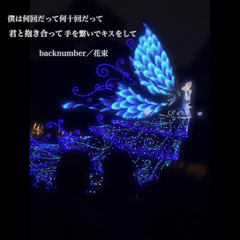 backnumber／花束の画像(プリ画像)