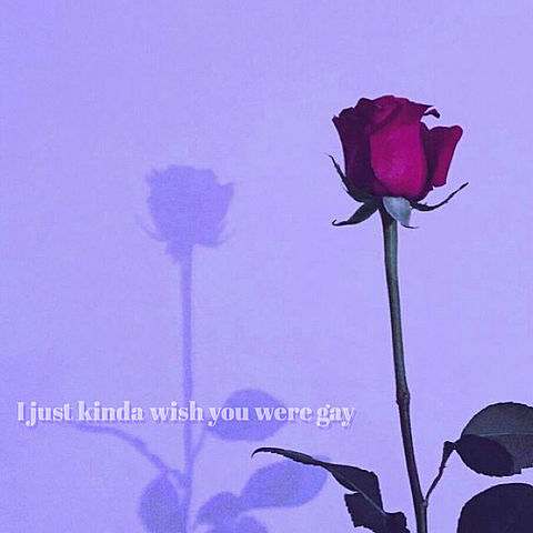 Billie Eilish「wish you were gay」の画像 プリ画像