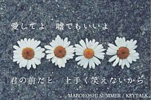 MABOROSHI SUMMER / KEYTALKの画像(maboroshiに関連した画像)