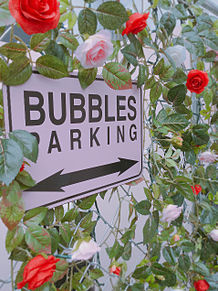 bubblesの画像(bubblesに関連した画像)