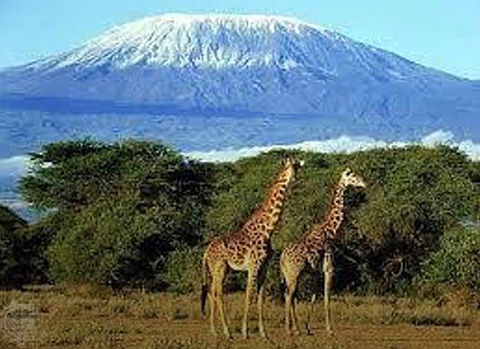 アフリカ最高峰の美ーキリマンジャロの画像(プリ画像)