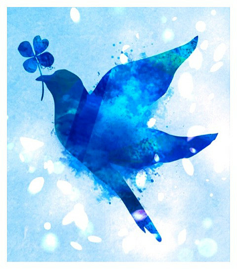 かわいい動物画像 綺麗な青い鳥 イラスト 綺麗