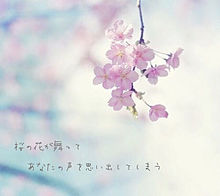  桜の詩 プリ画像