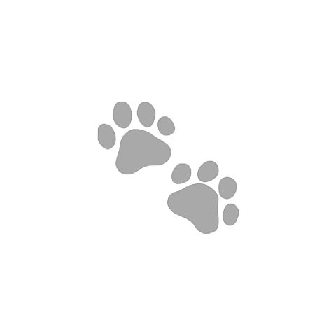 猫 肉球の画像152点 完全無料画像検索のプリ画像 Bygmo