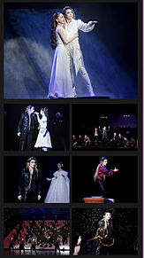 宝塚歌劇団月組エリザベートの画像(ﾘｻﾞに関連した画像)
