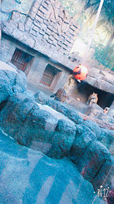 天王寺動物園の画像(動物園に関連した画像)