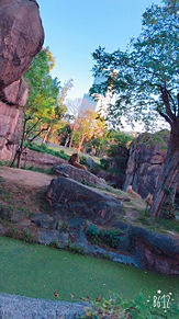 天王寺動物園の画像(動物園に関連した画像)
