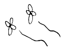 モノクロ 花の画像17点 完全無料画像検索のプリ画像 Bygmo