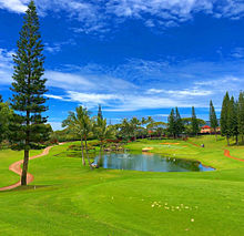ゴルフ ハワイの画像9点 完全無料画像検索のプリ画像 Bygmo