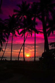 オシャレ ハワイ 風景の画像6点 完全無料画像検索のプリ画像 Bygmo