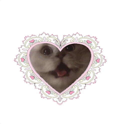 猫 顔隠しの画像93点 完全無料画像検索のプリ画像 Bygmo