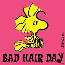 BAD HAIR DAYの画像(ピーナッツに関連した画像)