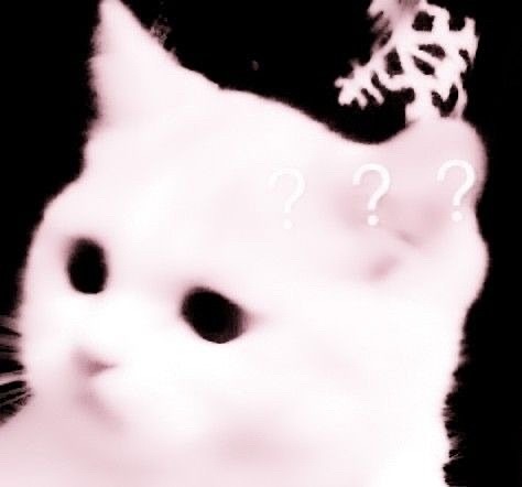 地雷量産型猫可愛いの画像 プリ画像