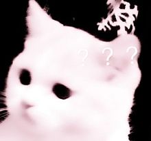 地雷量産型猫可愛いの画像(猫に関連した画像)