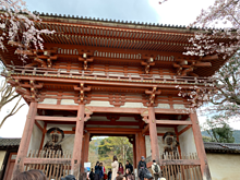 京都醍醐寺の画像(醍醐に関連した画像)